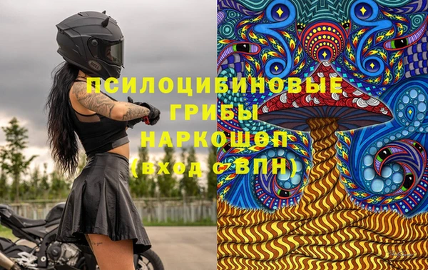 крисы Алексин